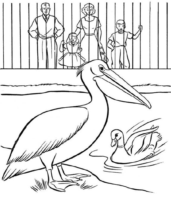 Fun zoo coloring pages for your little one. They're free and easy to print. The collection is varied for different skill levels and..