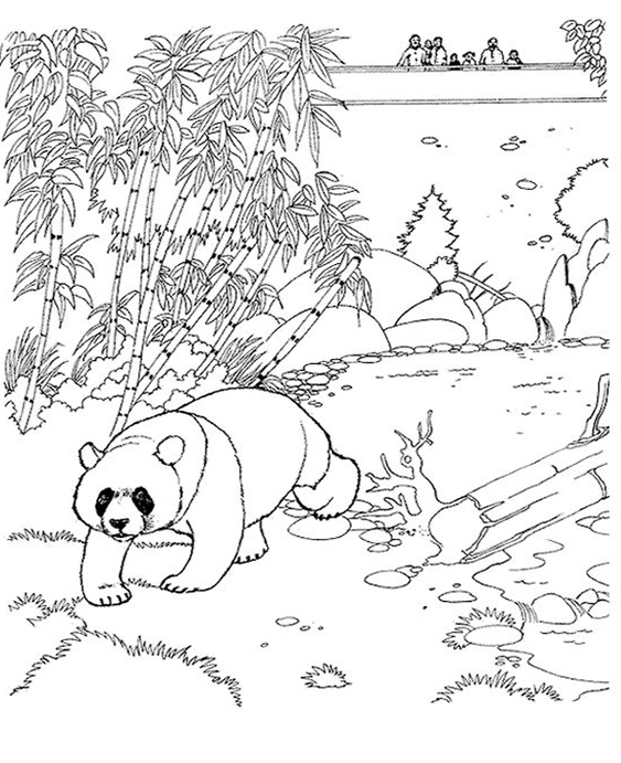 Fun zoo coloring pages for your little one. They're free and easy to print. The collection is varied for different skill levels and..