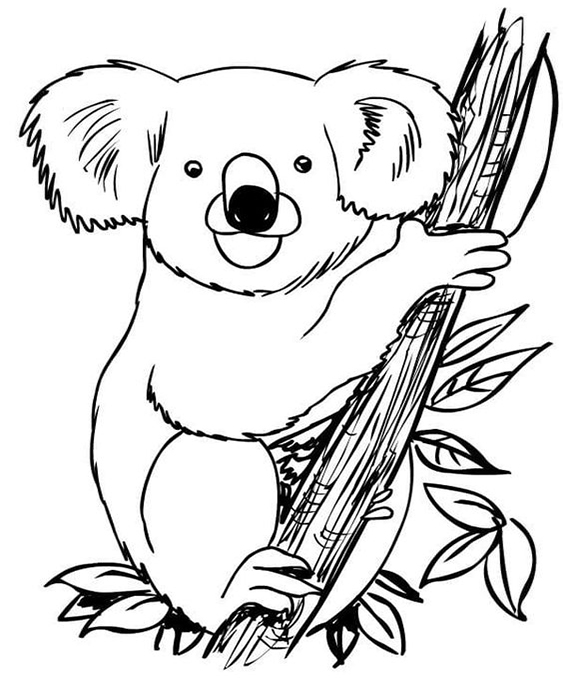 Free & Easy To Print Koala Coloring Pages - Tulamama