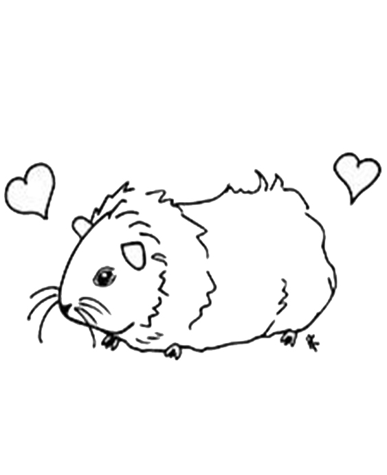 Fun Hamster coloring pages for your little one. They are free and easy to print. The collection is varied with different skill levels