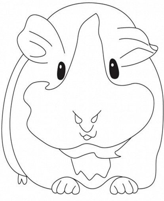 Fun Hamster coloring pages for your little one. They are free and easy to print. The collection is varied with different skill levels