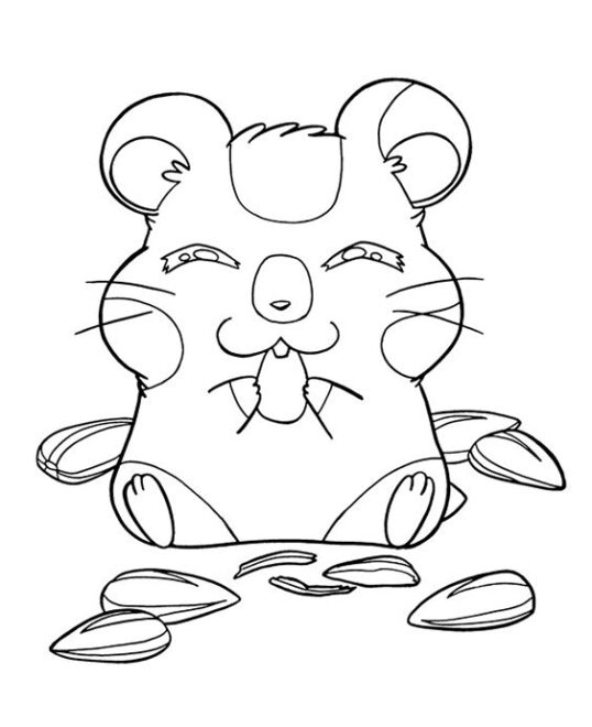 Free & Easy To Print Hamster Coloring Pages - Tulamama