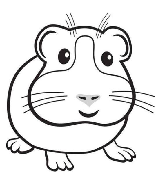 Free & Easy To Print Hamster Coloring Pages - Tulamama