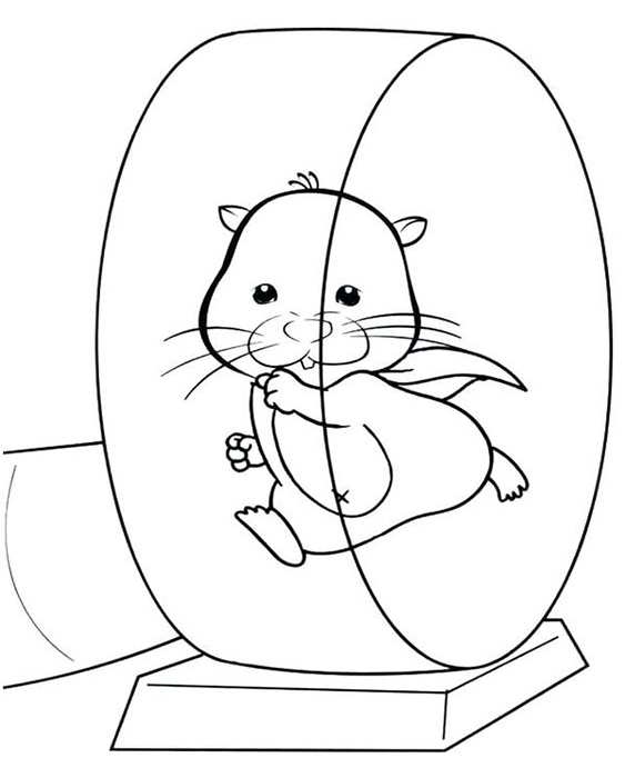 hamster coloring