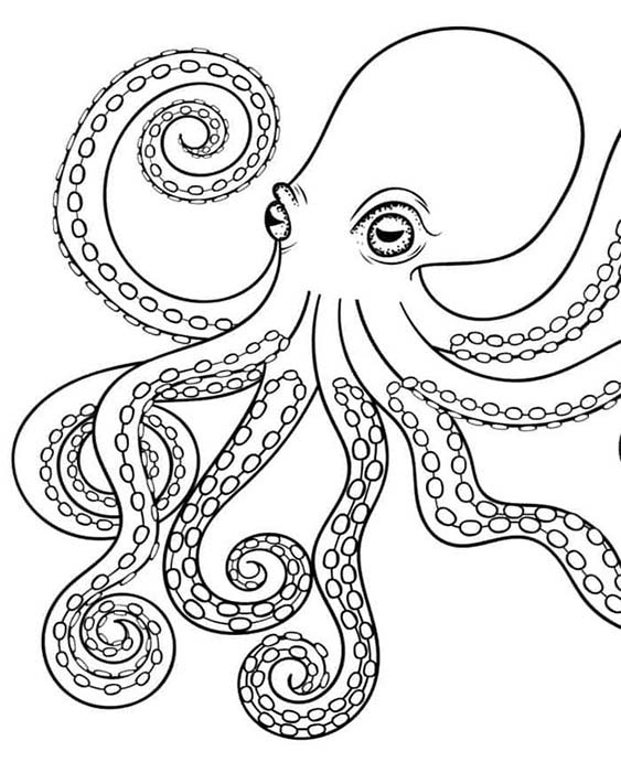 Fun Octopus coloring pages for your little one. They are free and easy to print. The collection is varied with different skill levels