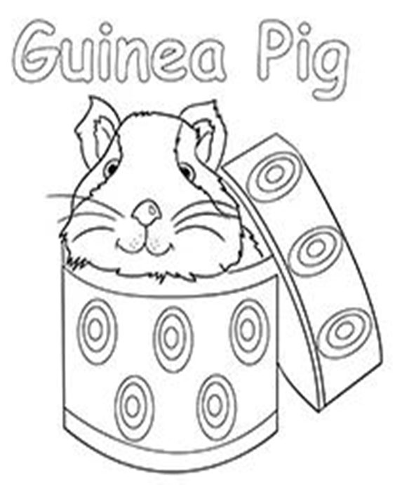 Free & Easy To Print Guinea Pig Coloring Pages - Tulamama