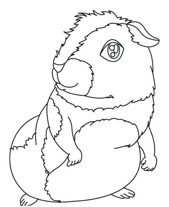 Free & Easy To Print Guinea Pig Coloring Pages - Tulamama