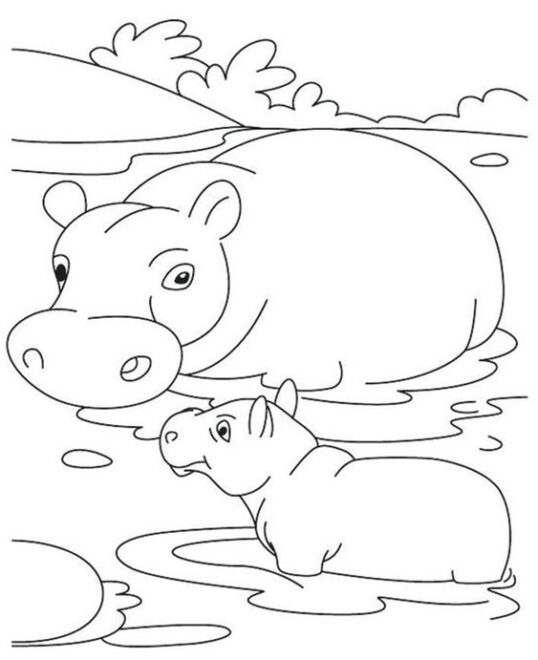 Free & Easy To Print Hippo Coloring Pages - Tulamama
