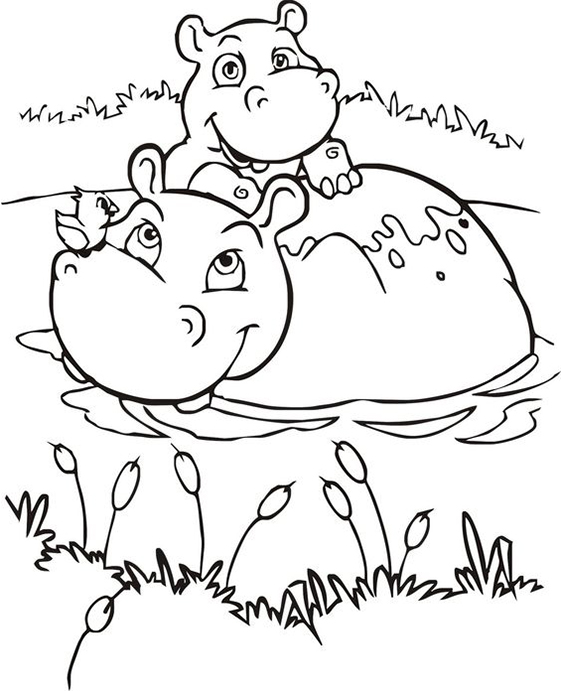 Fun Hippo coloring pages for your little one. They are free and easy to print. The collection is varied with different skill levels