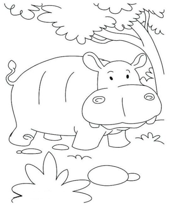 Free & Easy To Print Hippo Coloring Pages - Tulamama