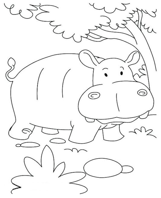 Free & Easy To Print Hippo Coloring Pages - Tulamama