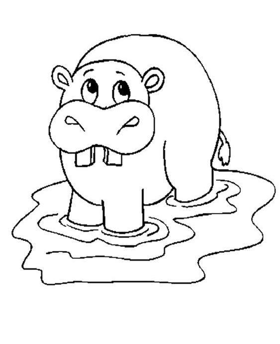 Fun Hippo coloring pages for your little one. They are free and easy to print. The collection is varied with different skill levels