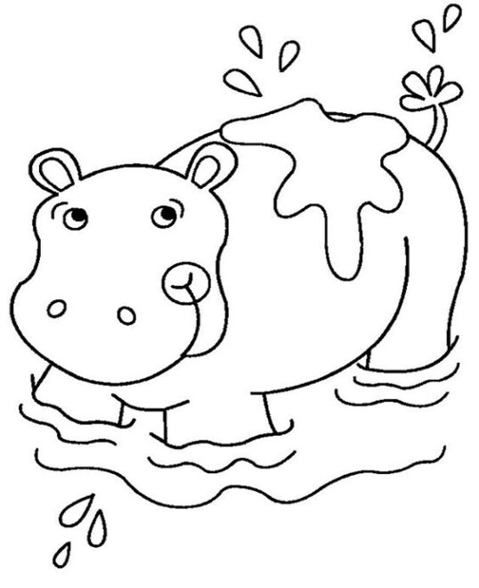Free & Easy To Print Hippo Coloring Pages Tulamama