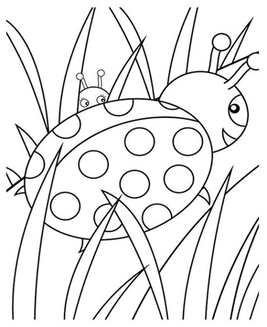 Free & Easy To Print Ladybug Coloring Pages - Tulamama