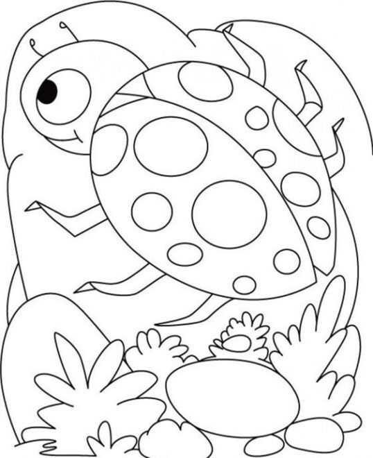 Free & Easy To Print Ladybug Coloring Pages - Tulamama