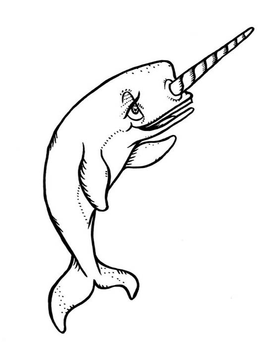 Free & Easy To Print Narwhal Coloring Pages - Tulamama