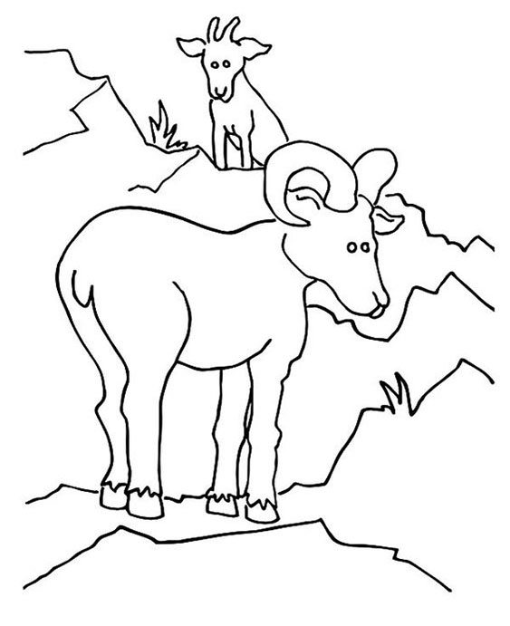 Free & Easy To Print Goat Coloring Pages - Tulamama