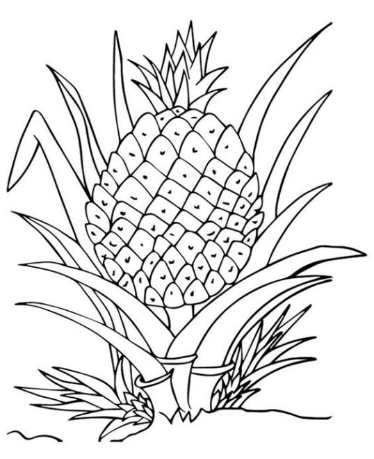 Free & Easy To Print Pineapple Coloring Pages - Tulamama